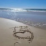 Lindo Apto Beira Mar Praia Ingleses